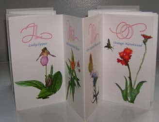 Item #10470 A Wildflower Alphabet. Lettering Design by Suzanne Moore. Designed & Illustrated by...