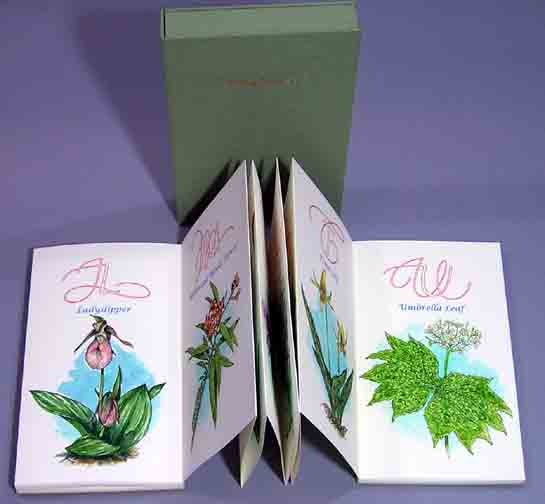 Item #10471 A Wildflower Alphabet. Lettering Design by Suzanne Moore. Designed & Illustrated by...